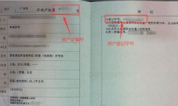 房产证等级编号怎么查(房产证编号怎么看)
