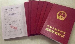 房产证app怎么贷款不了(房产证为什么贷不了款)