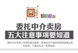 小粟房产咨询怎么样(小粟子官网)
