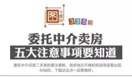 小粟房产咨询怎么样(小粟子官网)