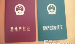 老人房产新证怎么办理(老人房产新证怎么办理流程)