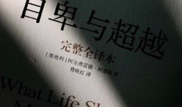 抖音宣传房产文案怎么写(抖音宣传房产文案怎么写好)