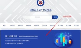 平阳怎么查自己名下房产(名下房产网上怎么查)