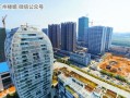 威姐 房产顾问怎么样(威姐 房产顾问怎么样可靠吗)