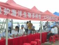 五一房产宣传方案怎么写(五一房产活动宣传词)