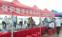 五一房产宣传方案怎么写(五一房产活动宣传词)