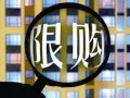 上海的婚前房产怎么分(上海婚前买房政策)