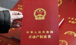 商用庄园怎么审批房产证(商用庄园怎么审批房产证的)