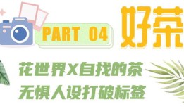 佳源房产婚介怎么样(佳源房产婚介怎么样可靠吗)