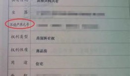 肇庆市房产怎么操作查询(肇庆市房产证查询)