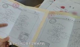 房产证做抵押怎么查(房产证抵押怎么查出来)