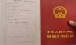 杨凌房产证怎么网上查(杨凌房产证怎么网上查不到了)