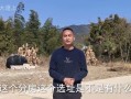 四兄弟分房怎么分房产(四兄弟房子)