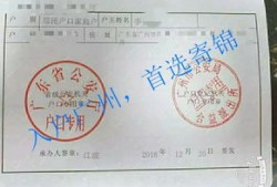 怎么授权别人帮办房产证(怎么授权别人帮办房产证手续)
