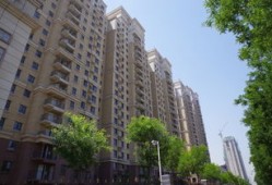 巨森房产文员怎么样(巨森建筑怎么样)