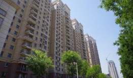 巨森房产文员怎么样(巨森建筑怎么样)