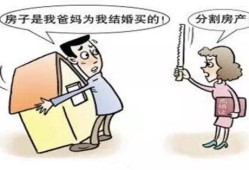 房产共有权怎么分割出来(房产共有权怎么分割出来的)