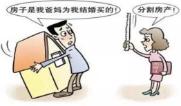 房产共有权怎么分割出来(房产共有权怎么分割出来的)
