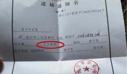 网上怎么开房产证浙江(如何在浙里办查房产证)