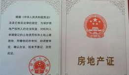 单位名下住房怎么查询房产(单位名下住房怎么查询房产证)
