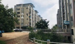 抚顺金诺房产怎么样(扶沟金诺房产)
