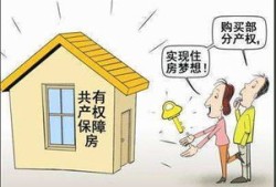共有房产纠纷怎么判(共有产权房纠纷怎么解决)