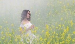 日语表示房产怎么说呢(房子日语翻译)