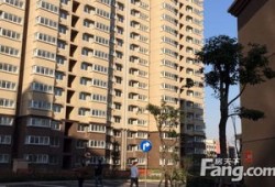 上海徐泾房产怎么样(上海徐泾房价格)