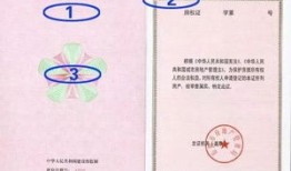 怎么判断自己有房产证(怎么知道自己有没有房产证)