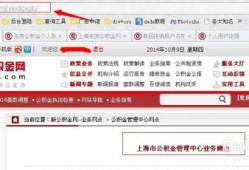 怎么查公积金有几套房产(怎么查询公积金有几个账户)