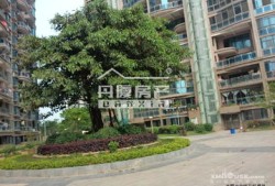 中鑫海房产怎么样(中鑫海地产公司地址)