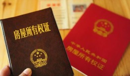 全款买房房产证怎么写(全款买房房产证写谁名字)