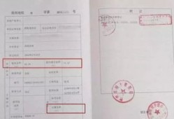 房产证共同共有怎么分(房产证共同共有份额如何确定)