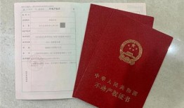 安置房产权证怎么填写(安置房产权证怎么填写的)