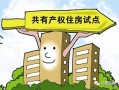 兄妹共有房产怎么办(兄妹共有房产怎么办理)