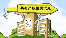 兄妹共有房产怎么办(兄妹共有房产怎么办理)