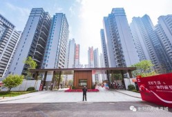美心房产实力怎么样(美心集团地址)