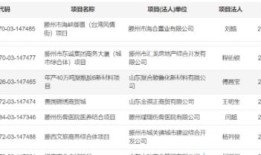 房产项目从立项吗怎么查(房地产项目立项备案在哪里可以查)