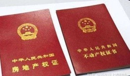 怎么强制执行共有房产(共有房产如何强制执行)