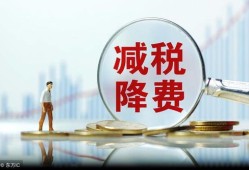 转制企业房产税怎么交(企业房产转让税如何征收标准)