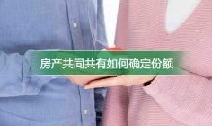 共同共有房产份额怎么算(共同共有房产份额如何确定)