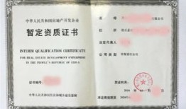 房产小白怎么看中介资质(怎么看房产中介的资质)