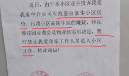 房产中介怎么签独家委托(房产中介怎么签独家委托书)
