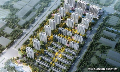 上海乐多家房产怎么样(上海乐多家房产怎么样知乎)