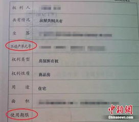 肇庆市房产怎么操作查询(肇庆市房产证查询)