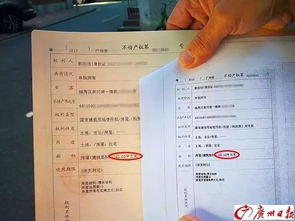 怎么查询本人名下的房产(怎么查询本人名下的房产证)