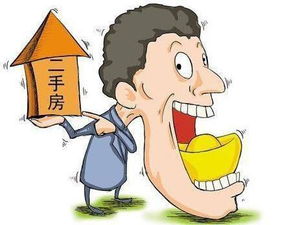 出售房产诈骗怎么办(出售房产诈骗怎么办手续)