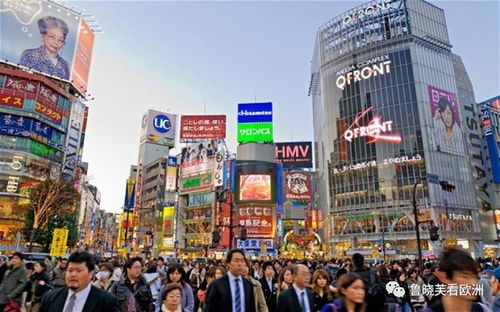 日本涩谷房产怎么样(日本涩谷在哪个县)