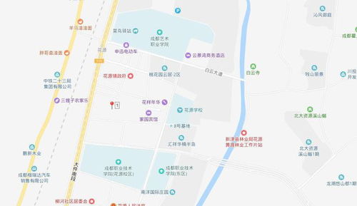 新津房产市场怎么样啊(新津房产网)