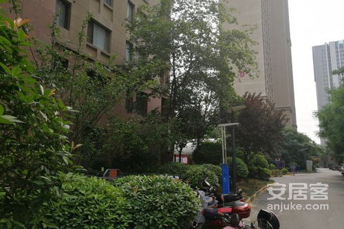 宝龙房产档次怎么样(宝龙房地产 口碑)